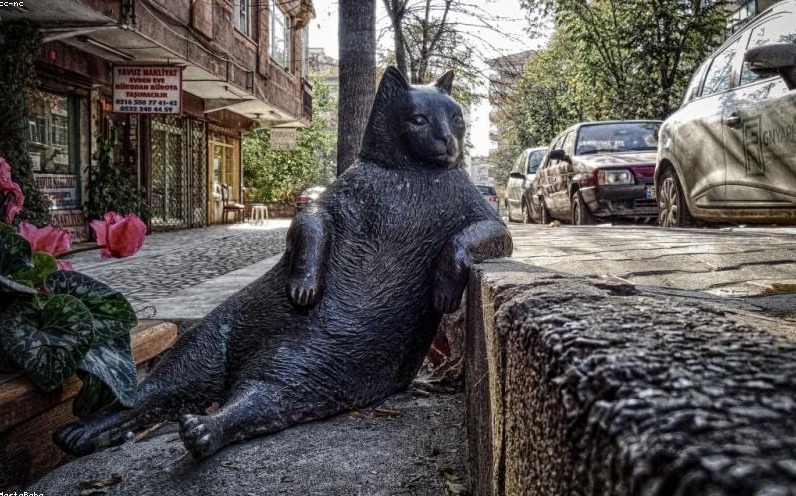 2026年,AI不再‘懂你’——它开始替你删掉不想成为的自己