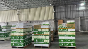 货物已发货，开启这场充满期待的奔赴之旅