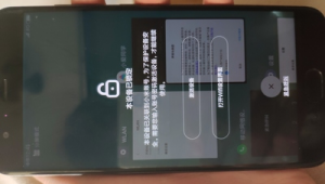 账号6的故事：一段独特经历或背后隐藏的秘密