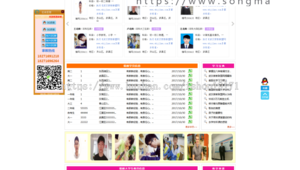 探秘热门发货网站：高效物流背后的秘密与优势